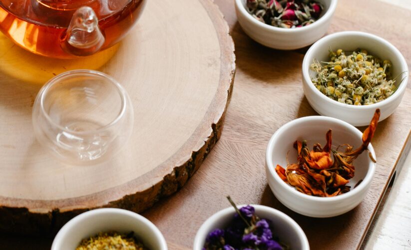 Perennial Herb Plants |Uses and Importance