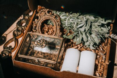 Perennial Herb Plants